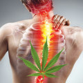 Chronic Pain Management with Cannabis: A Comprehensive Guide