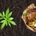 Composting for Healthy Plants: The Ultimate Guide for Organic Cannabis Growing