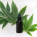 Understanding the Potential Side Effects and Risks of Long-Term Use of Medical Cannabis and CBD Oil