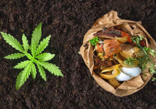 Composting for Healthy Plants: The Ultimate Guide for Organic Cannabis Growing